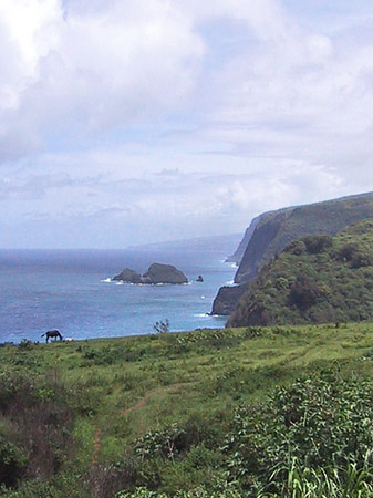 Fotos Hawaiis Straßenränder