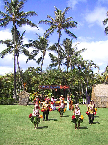 Fotos Hula Show | 