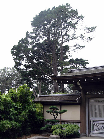 Foto Golden Gate Park mit Botanischen Garten