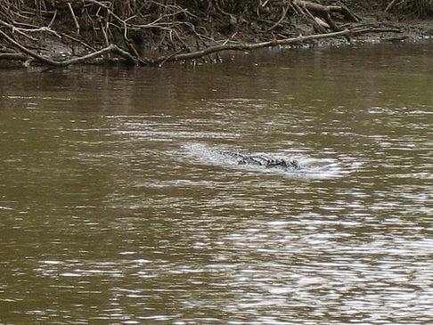 Fotos Fluss