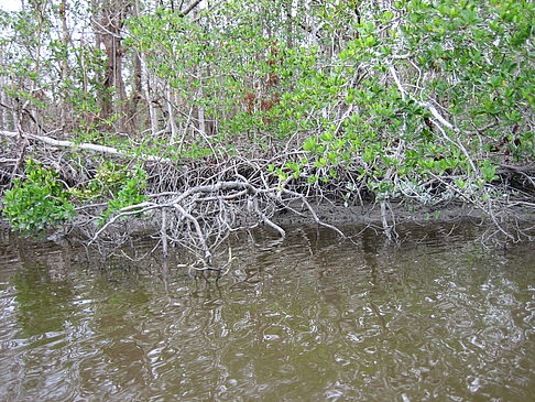 Fotos Fluss | 