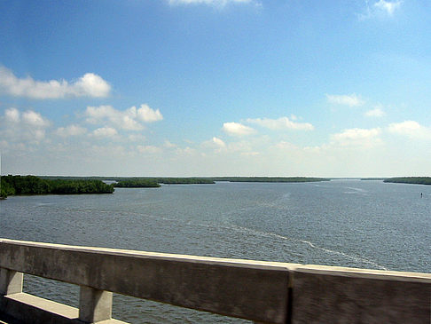 Foto Straßenrand auf Marco Island - Marco Island