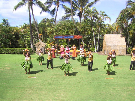 Hula Show