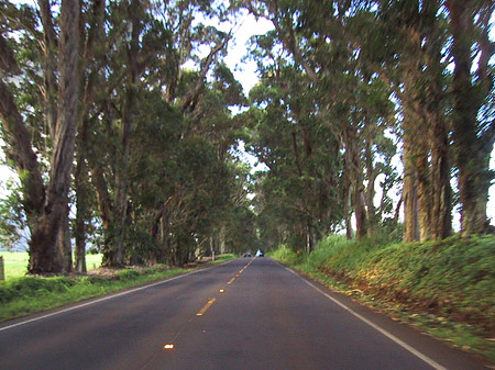 Fotos Straßen auf Kauai | 