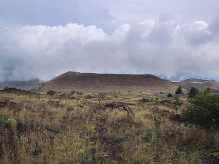 Trockene Landschaft Fotos
