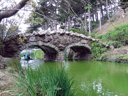 Golden Gate Park mit Botanischen Garten Fotos