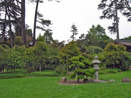 Foto Golden Gate Park mit Botanischen Garten - San Francisco