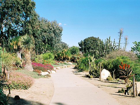 Fotos Balboa Park
