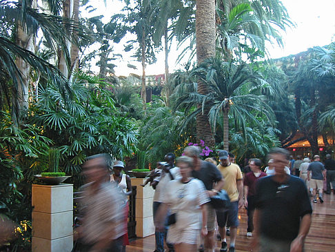 Foto Hotel Mirage - Las Vegas