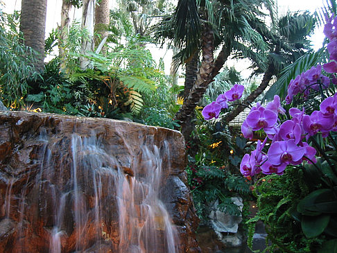 Fotos Hotel Mirage | Las Vegas